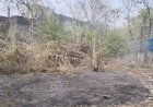 ऐलन क्लब मैदान में सूखी घास ने पकड़ी आग, समय रहते पहुंची फायर ब्रिगेड, बड़ा हादसा टला