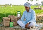 मथुरा: किसान ध्यान दें! सरकारी अनुदान पर बीज और मिनीकिट के लिए 10 मई तक करें ऑनलाइन बुकिंग