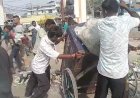 कूड़े के ढेरों में दफ्न हुई शहर की सांसें