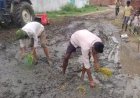 सड़क पर धान रोपकर ग्रामीणों ने जताया विरोध