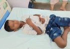 सांप का खेल देखने पहुंचे मासूम को सपेरे के सांप ने डसा, अस्पताल में भर्ती