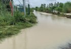 नारायण नगला में उफनाई किच्छा नदी, मेगा फूड पार्क में घुसा पानी