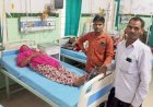 मोबाइल चार्जिंग लगाते समय महिला को सांप ने डसा