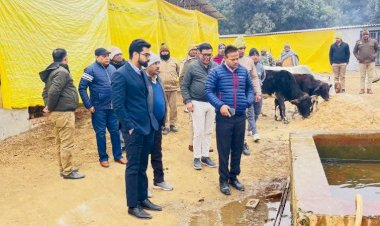 गौशाला में गोवंशों की मौत, मौके पर पहुंचे डीएम, जिम्मेदारों पर की कार्रवाई