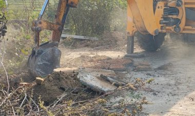 बीडीए की करवाई, कॉलोनी ध्वस्त 