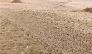 दलितों की 1600 से अधिक बीघा भूमि पर भूमाफियाओं का अवैध कब्ज़ा