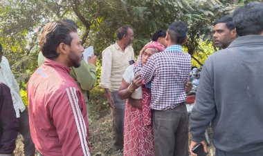 हाईवे पर भीषण टक्कर,तीन घायल