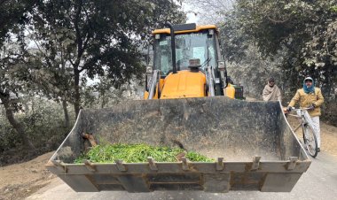 गौशाला की व्यवस्था कटघरे में