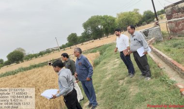 बारिश से गेहूं प्रभावित, मथुरा में फसल घटने की आशंका