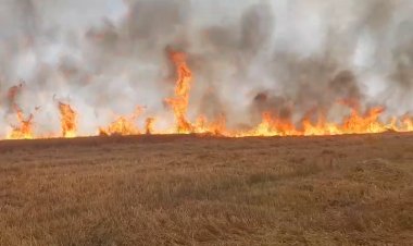 आग में राख हुई मेहनत