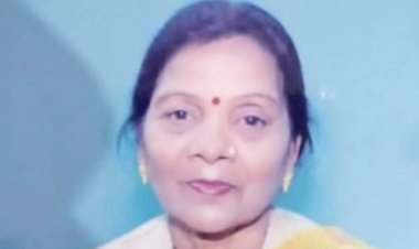 बरेली: आवारा कुत्तों के खौफ ने ली रिटायर्ड शिक्षिका की जान, नगर निगम पर उठे सवाल