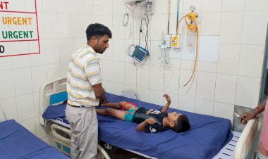 बरेली: हजियापुर में पड़ोस के पालतू कुत्ते ने घर में घुसकर मासूम पर किया हमला, पैर चबाया, जिला अस्पताल में भर्ती