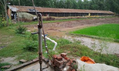 मुर्गी फार्म से पानी की मोटर चोरी, मुकदमा दर्ज
