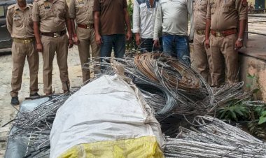 ट्यूबवेलों से बिजली के तार चोरी, किसान परेशान