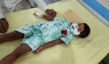 आवारा कुत्ते के हमले में डेढ़ वर्षीय मासूम गंभीर घायल