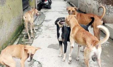बरेली में दो सफल कॉर्निया प्रत्यारोपण, मरीजों को मिली नई उम्मीद