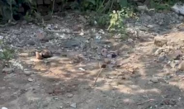 सर्किट हाउस चौराहे पर मिला नवजात का शव, जांच में जुटी पुलिस