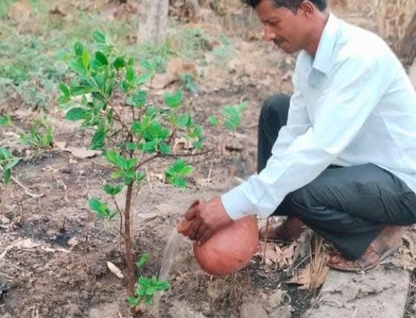 विश्व पर्यावरण दिवस पर सेंथल में रोपे गए नवीन पौधे, संरक्षण का लिया संकल्प