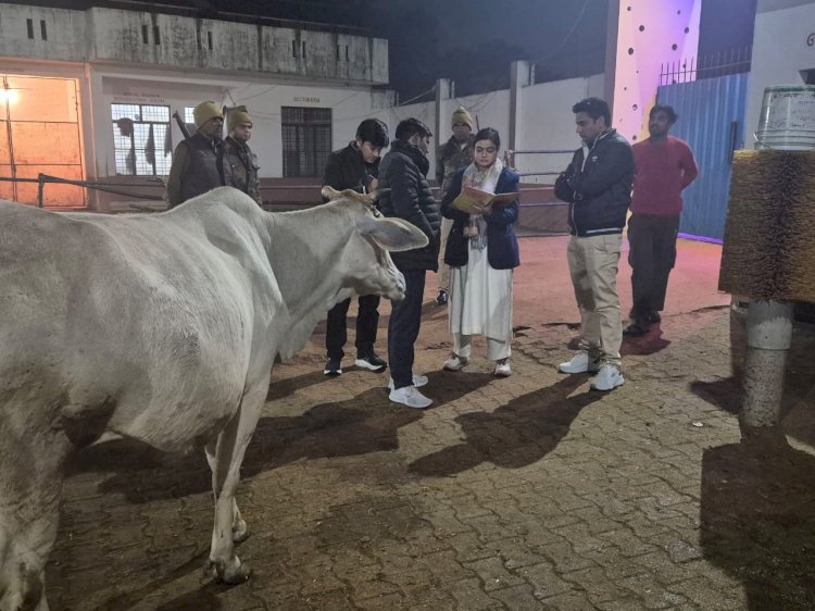 गौशाला में गायों के ठंड के बचाव के नही मिले पुख्ता इंतज़ाम, ठंडी जमीन पर आराम करती गाय, एसडीएम ने ईओ को नोटिस भेज जवाब मांगा