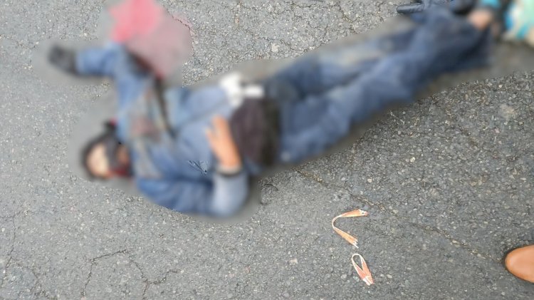 ट्रक की टक्कर से पिता और दो बेटों की मौत