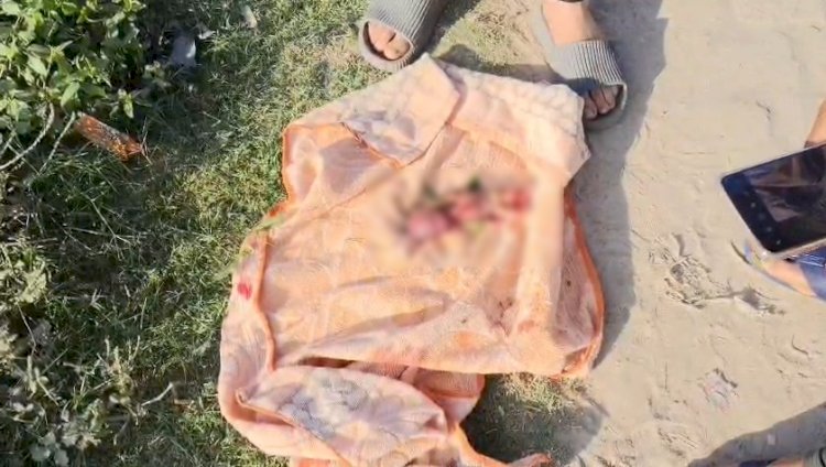 नाले में मिला नवजात और उठे व्यवस्था पर सवाल