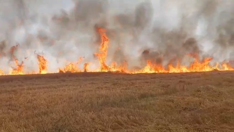 आग में राख हुई मेहनत