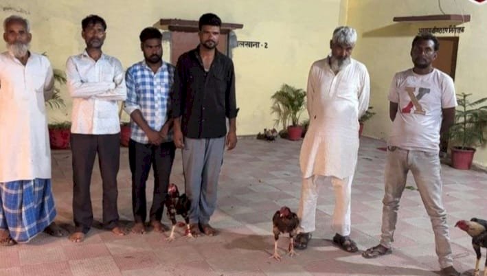 भोजीपुरा: आम के बाग में चल रही थी मुर्गों की खूनी लड़ाई, 6 जुआरी गिरफ्तार, 7 लड़ाकू मुर्गे बरामद