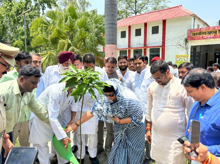 बहेड़ी: ब्लॉक परिसर में भव्य जन कल्याण शिविर