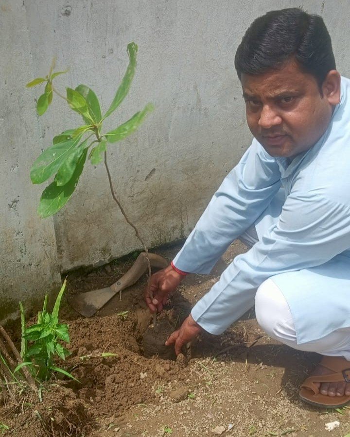 सरस्वती शिशु मंदिर परिसर में 'एक पेड़ माँ के नाम' अभियान के तहत हुआ वृक्षारोपण